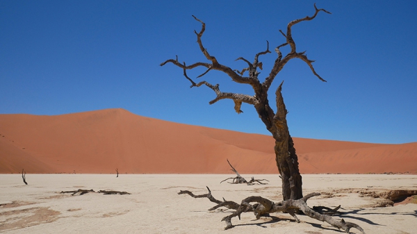 100 Namibia, Sossusvlei